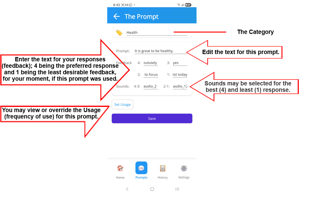 The Prompt interface